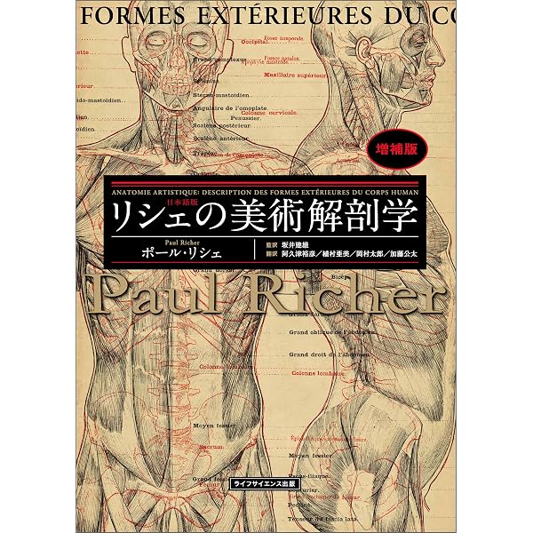Amazon.co.jp: ゴットフリード・バメスの美術解剖学 eBook : ゴット